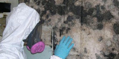 How To Interpret Lab Results From Mold Sampling